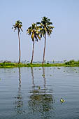 Kerala backwaters, travelling the neighborhood by public ferry service from  Alleppey to Kumbakonam. 